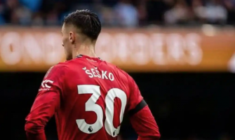 Šeškos udviklingsforløb ligner Højlunds