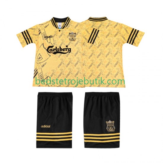 Liverpool LWP 1994 1996 Retro Børn 3. Valg Fodboldtrøje Kortærmet