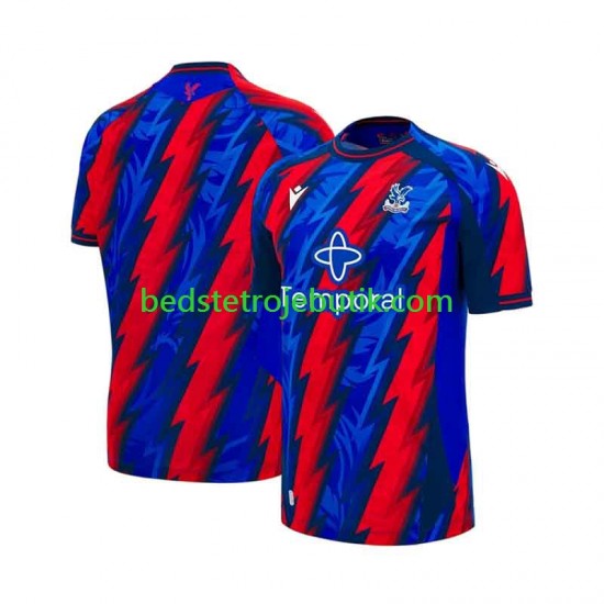 Crystal Palace Mænd 3. Valg Fodboldtrøje 2026-2027 Kortærmet