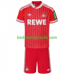 FC Köln Børn 3. Valg Fodboldtrøje 2026-2027 Kortærmet