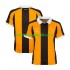 Hull City Mænd Hjemmebane Fodboldtrøje 2026-2027 Kortærmet