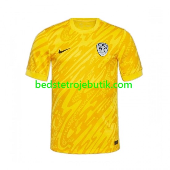 Slovenien Målmand Mænd Hjemmebane Fodboldtrøje Euro 2024 Kortærmet