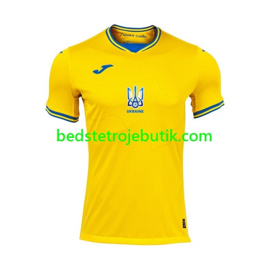 Ukraine Mænd Hjemmebane Fodboldtrøje Euro 2024 Kortærmet