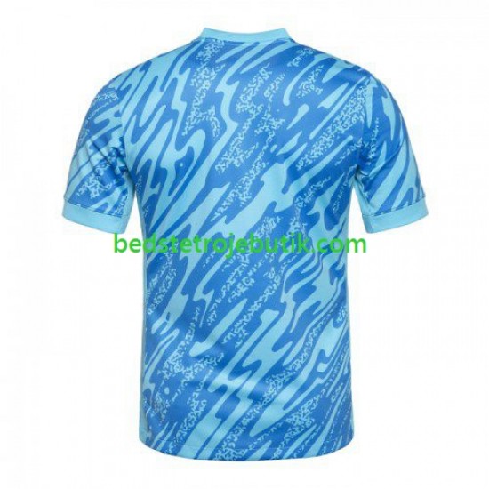 Portugal Målmand Mænd 3. Valg Fodboldtrøje Euro 2024 Kortærmet