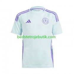 Skotland Mænd Udebane Fodboldtrøje Euro 2024 Kortærmet