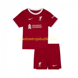 Liverpool Børn Hjemmebane Fodboldtrøje 2023-2024 Kortærmet