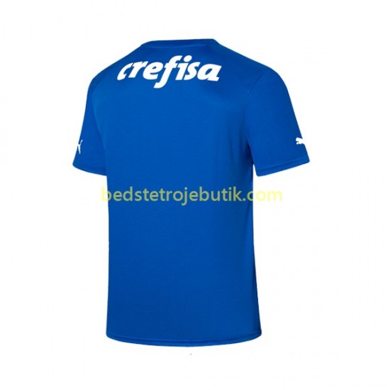 Palmeiras Målmand Mænd Hjemmebane Fodboldtrøje 2023-2024 Kortærmet