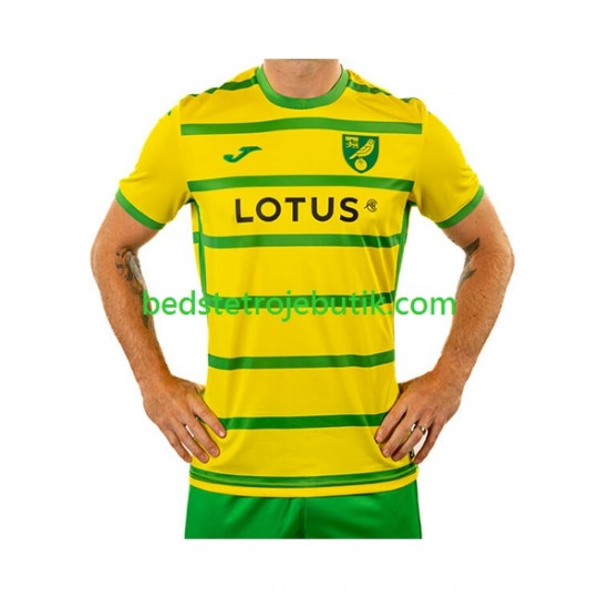 Norwich City Mænd Hjemmebane Fodboldtrøje 2023-2024 Kortærmet