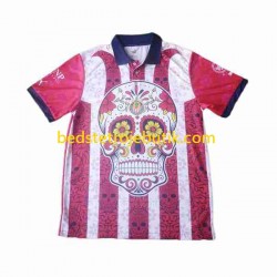 Deportivo Guadalajara Day of the Dead Mænd Udebane Fodboldtrøje 2023-2024 Kortærmet