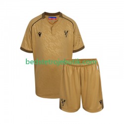 Crystal Palace Børn Udebane Fodboldtrøje 2025-2026 Kortærmet