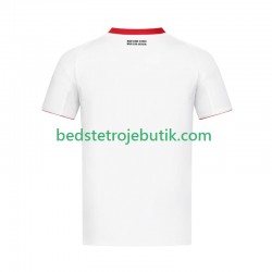 Eintracht Frankfurt Mænd Udebane Fodboldtrøje 2024-2025 Kortærmet