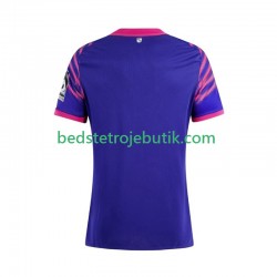 Mainz 05 Mænd Udebane Fodboldtrøje 2025-2026 Kortærmet