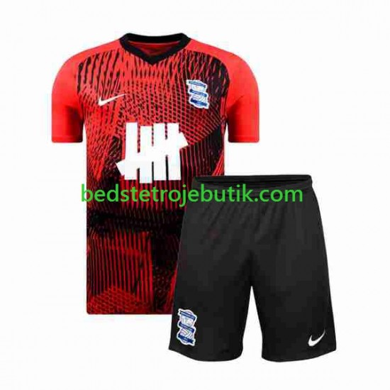 Birmingham City Børn Udebane Fodboldtrøje 2023-2024 Kortærmet