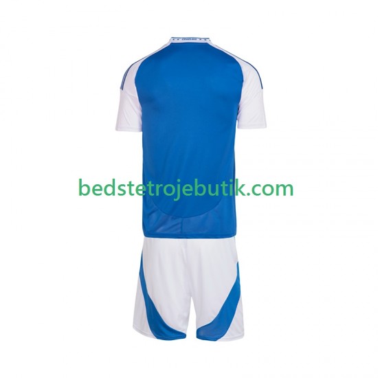 Cruzeiro Børn Hjemmebane Fodboldtrøje 2025-2026 Kortærmet