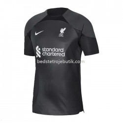 Liverpool Udebane Fodboldtrøje 2022-2023 Kortærmet