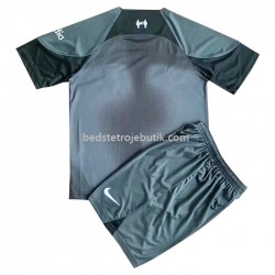 Liverpool Børn Udebane Fodboldtrøje 2022-2023 Kortærmet