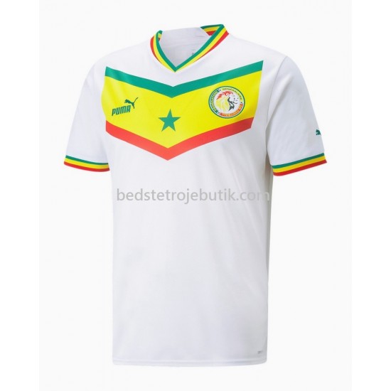 Senegal Hjemmebane Fodboldtrøje World Cup 2022 Kortærmet