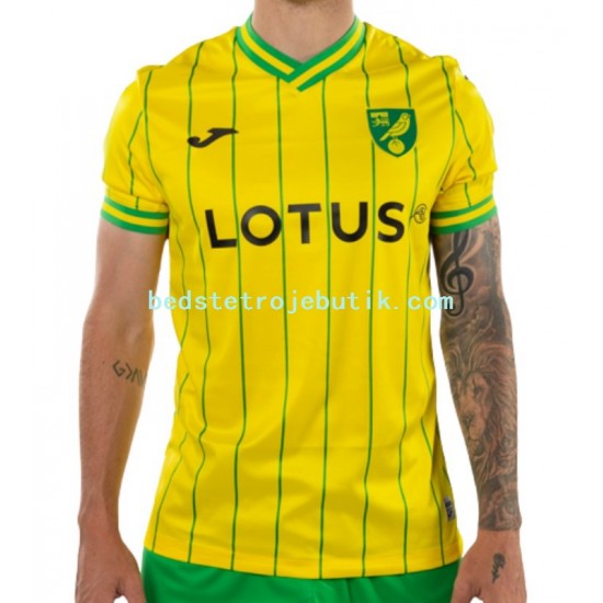 Norwich City Mænd Hjemmebane Fodboldtrøje 2022-2023 Kortærmet