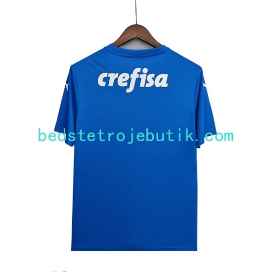 Palmeiras Målmand Mænd Udebane Fodboldtrøje 2022-2023 Kortærmet