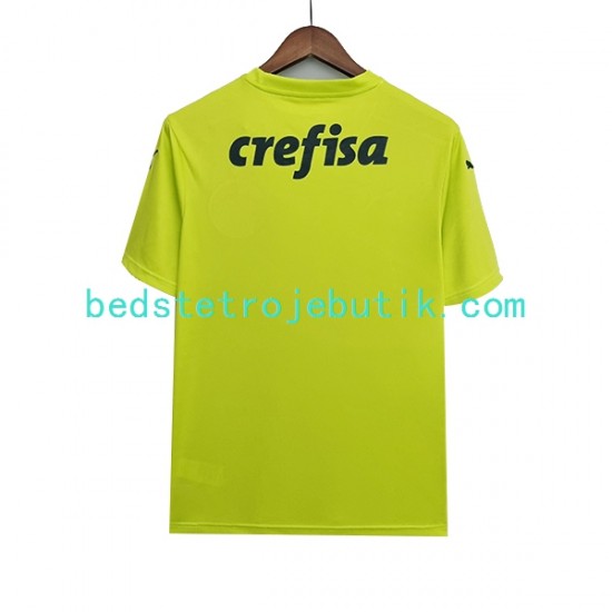 Palmeiras Målmand Mænd Hjemmebane Fodboldtrøje 2022-2023 Kortærmet