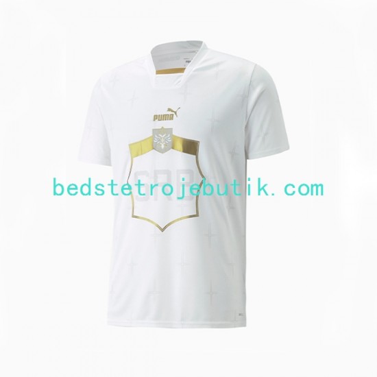 Serbien Mænd Udebane Fodboldtrøje World Cup 2022 Kortærmet