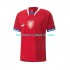 Tjekkiet Mænd Hjemmebane Fodboldtrøje 2022 Kortærmet