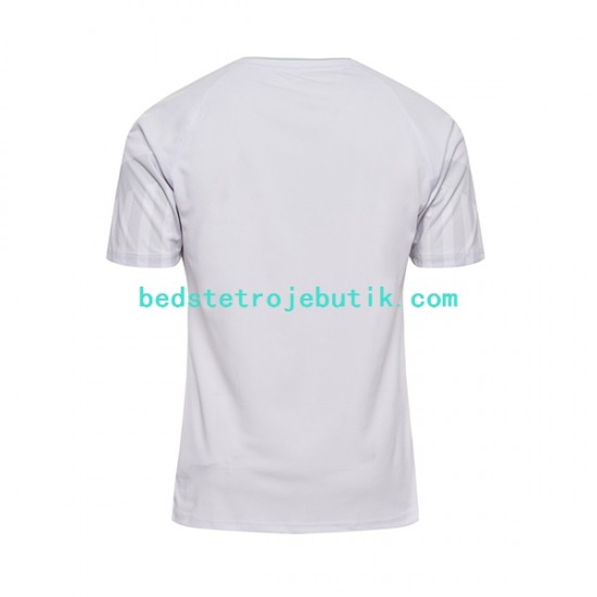 Danmark Mænd Udebane Fodboldtrøje World Cup 2022 Kortærmet