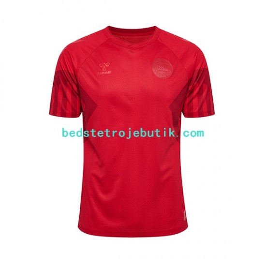 Danmark Mænd Hjemmebane Fodboldtrøje World Cup 2022 Kortærmet