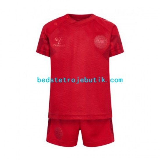 Danmark Børn Hjemmebane Fodboldtrøje World Cup 2022 Kortærmet