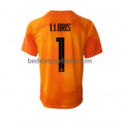 Frankrig Hugo Lloris 1 Målmand Mænd Udebane Fodboldtrøje World Cup 2022 Kortærmet