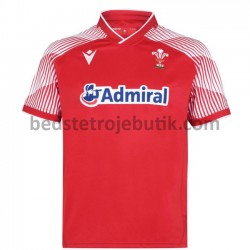 Wales Rugby 7S Hjemmebane Fodboldtrøje 2020-2021 Kortærmet