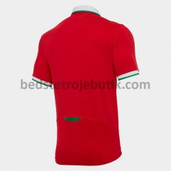 Wales Rugby Classic Hjemmebane Fodboldtrøje 2020-2021 Kortærmet